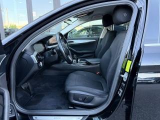 BMW 520 usata, con Cruise Control