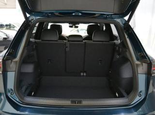 VOLKSWAGEN Tiguan usata, con Volante in pelle