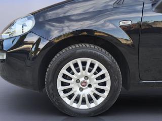 FIAT Punto usata 19