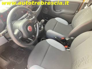 FIAT Panda usata, con Controllo trazione