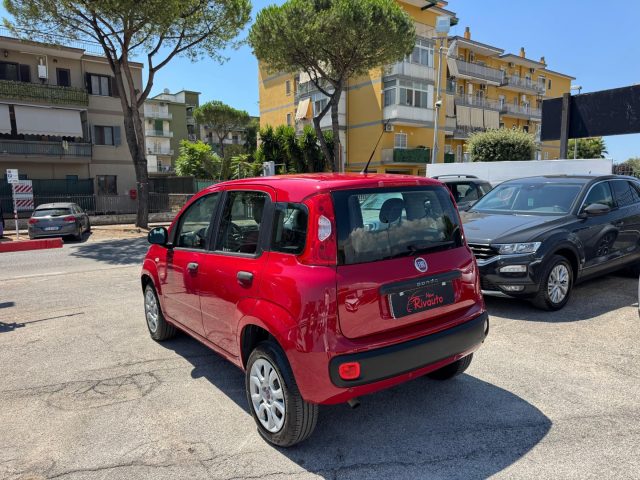 FIAT Panda usata, con Alzacristalli elettrici