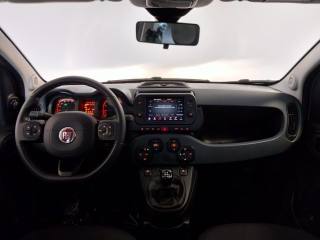 FIAT Panda Cross usata, con Vetri oscurati