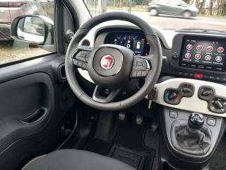 FIAT Panda usata, con Airbag testa