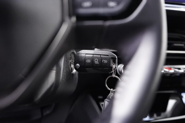 PEUGEOT 2008 usata, con Vetri oscurati