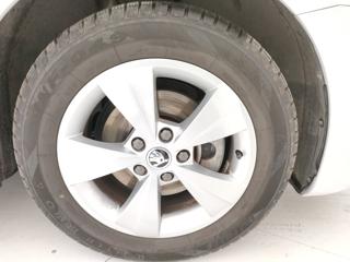 SKODA Octavia usata, con Volante multifunzione