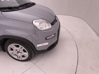 FIAT Panda usata 34