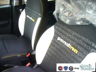 FIAT Panda Cross usata, con Volante multifunzione
