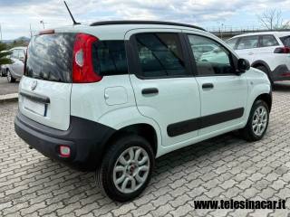 FIAT Panda usata, con Controllo trazione