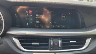 ALFA ROMEO Stelvio usata, con Volante multifunzione