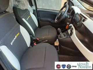 FIAT Panda usata, con Start/Stop Automatico