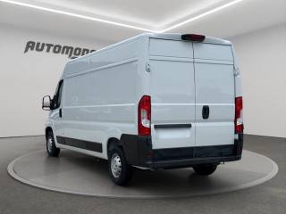 OPEL Movano usata, con Servosterzo
