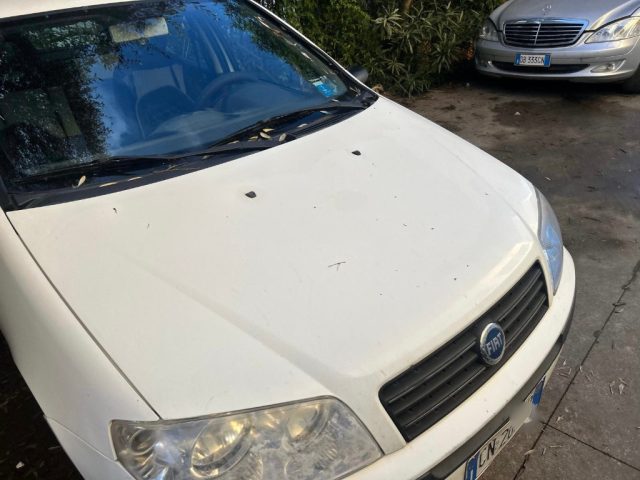 FIAT Punto usata 1