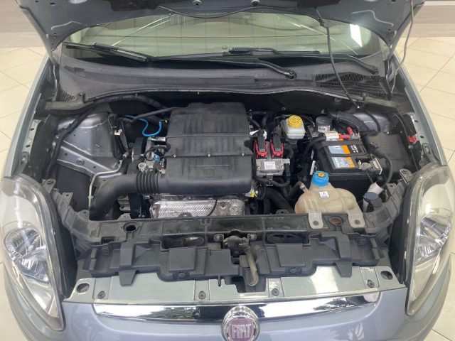 FIAT Punto Evo usata, con Airbag testa