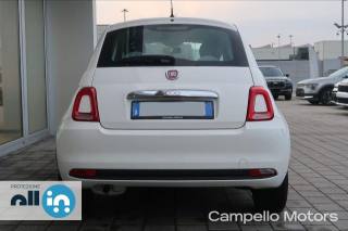 FIAT 500 usata 3