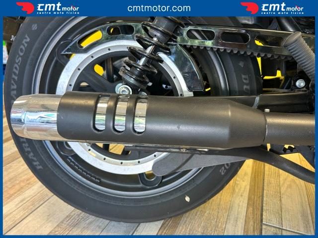 HARLEY-DAVIDSON Other usata 10