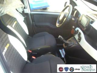 FIAT Panda Cross usata, con Airbag testa