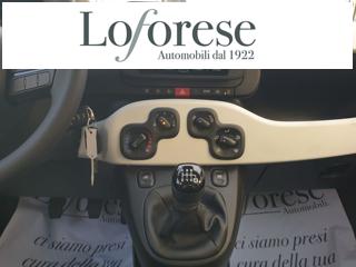 FIAT Panda usata, con Fendinebbia