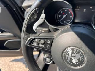 ALFA ROMEO Stelvio usata, con Fendinebbia