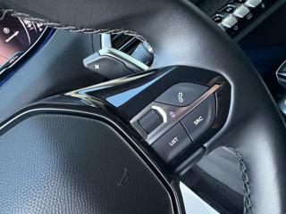 PEUGEOT 3008 usata, con Controllo vocale