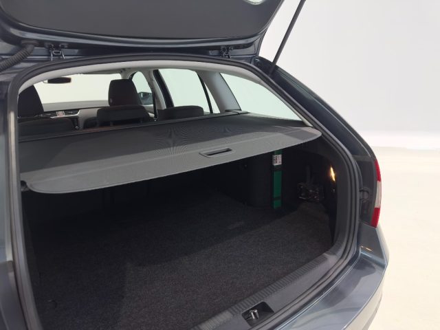 SKODA Octavia usata, con Fendinebbia