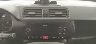 FIAT Panda usata 41
