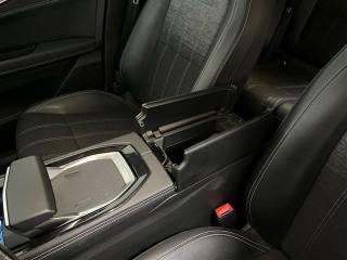 RENAULT Austral usata 29