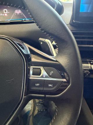 PEUGEOT 3008 usata, con Cruise Control