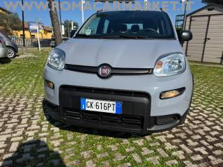 FIAT Panda usata, con Airbag testa