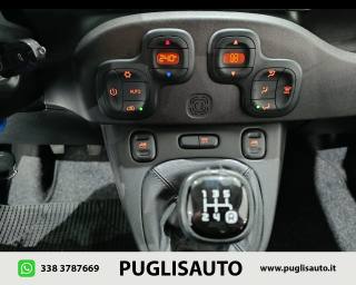 FIAT Panda usata, con Servosterzo