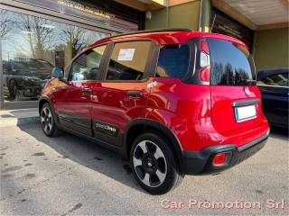 FIAT Panda Cross usata, con Alzacristalli elettrici