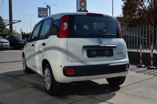 FIAT Panda usata, con Alzacristalli elettrici