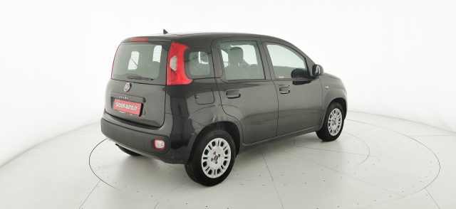 FIAT Panda usata 42