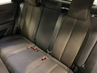 DS AUTOMOBILES DS 7 usata, con Filtro antiparticolato