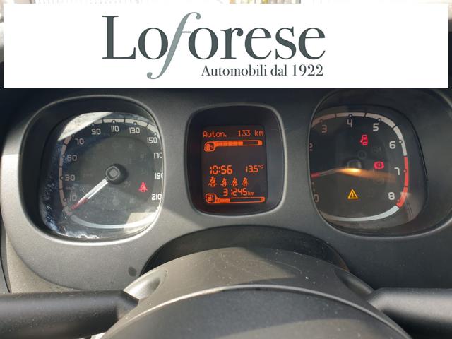 FIAT Panda Cross usata, con Fendinebbia
