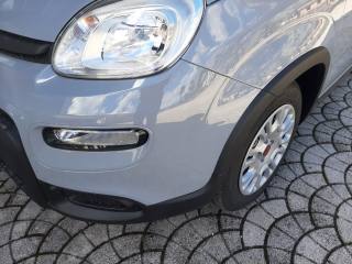 FIAT Panda usata, con Airbag