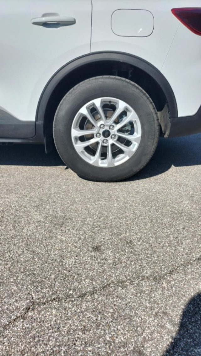 FORD Kuga usata, con Riconoscimento dei segnali stradali