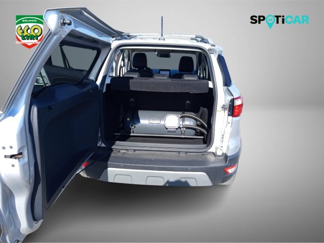 FORD EcoSport usata, con Airbag testa