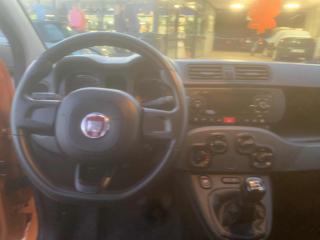 FIAT Panda usata, con Controllo trazione