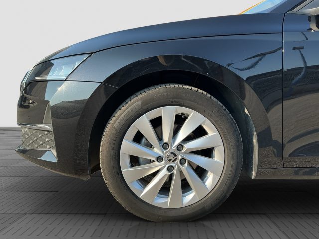 SKODA Octavia usata 14