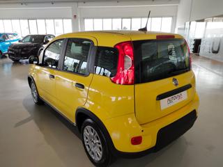 FIAT Panda usata, con Chiusura centralizzata