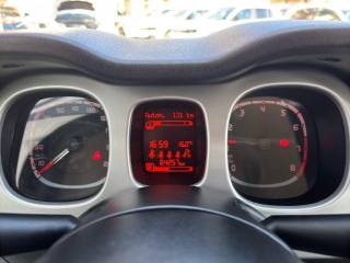 FIAT Panda Cross usata, con Chiusura centralizzata