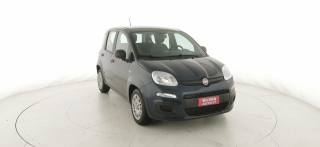 FIAT Panda usata 24