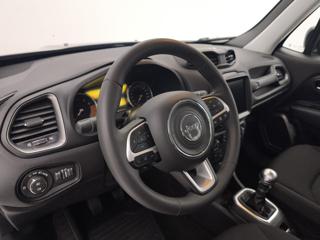 JEEP Renegade usata, con Climatizzatore