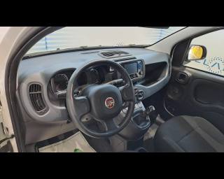 FIAT New Panda usata, con Controllo automatico clima