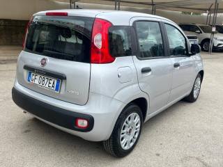 FIAT Panda usata, con Autoradio