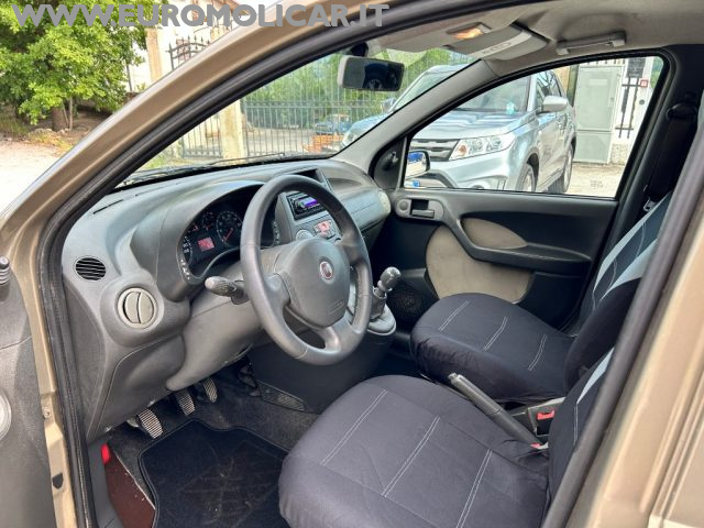 FIAT Panda usata 13