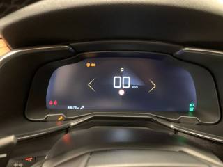 DS AUTOMOBILES DS 7 usata, con Autoradio digitale