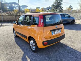 FIAT Panda usata 3