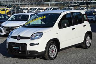 FIAT Panda usata 21