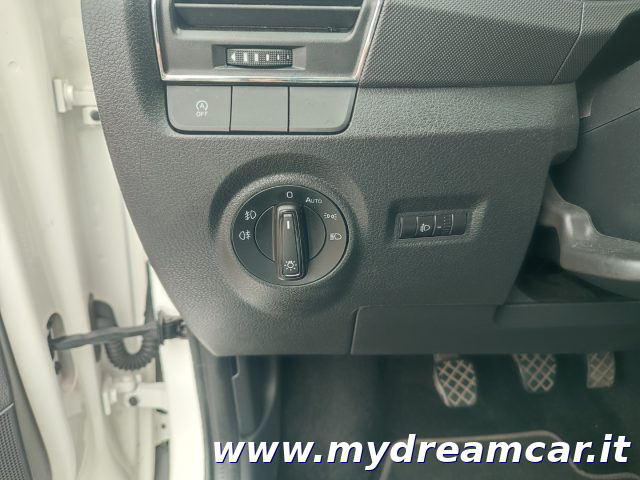 SKODA Fabia usata 22